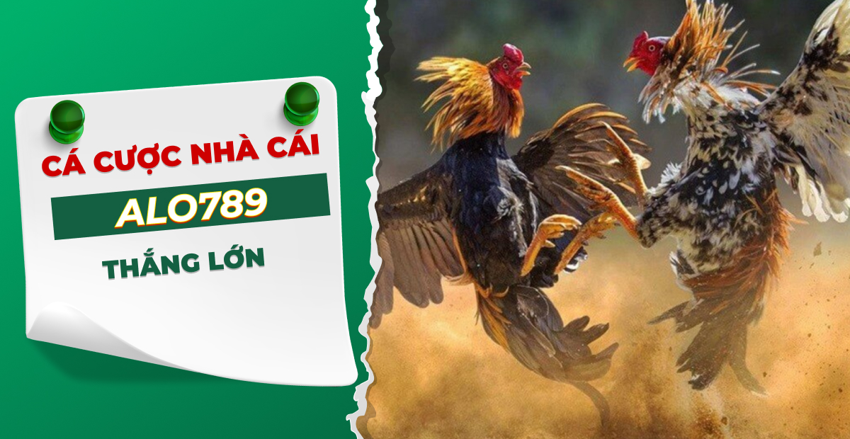 ALO789 - Nhà Cái ALO 789 - Trang Chủ Cá Cược Casino Trực Tuyến Số 1 Châu Á